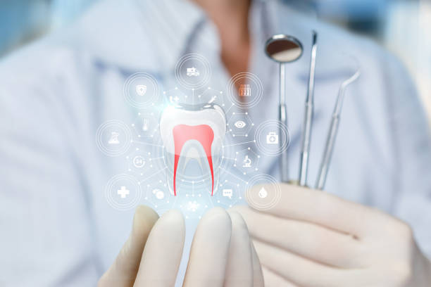 Best Preventive Dentistry  in Cottonwood Shores, TX